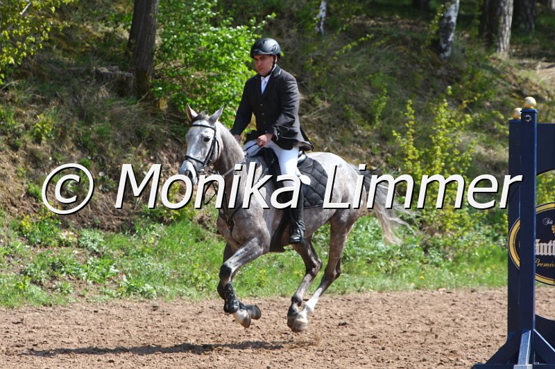 004M1851_Gothigue_Springpferde A xx.JPG